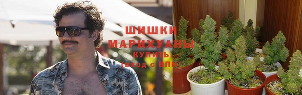 бутират Козельск