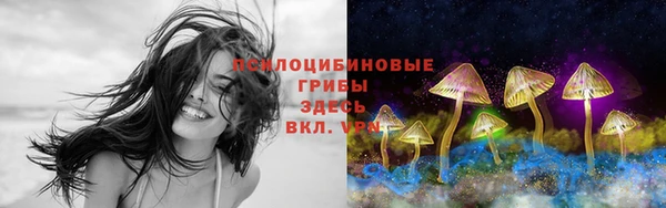 синтетический гашиш Козловка
