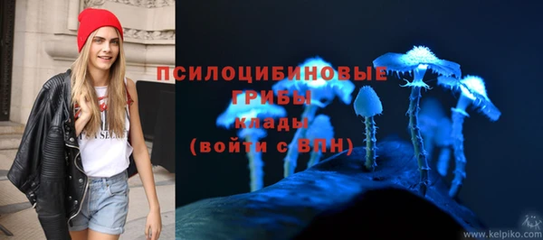 синтетический гашиш Козловка