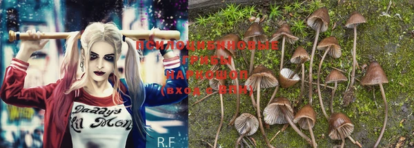 MESCALINE Кодинск
