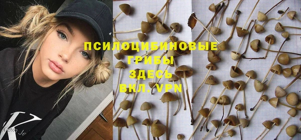 MESCALINE Кодинск