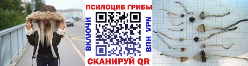 Псилоцибиновые грибы мицелий  Купить закладки  Лебедянь 